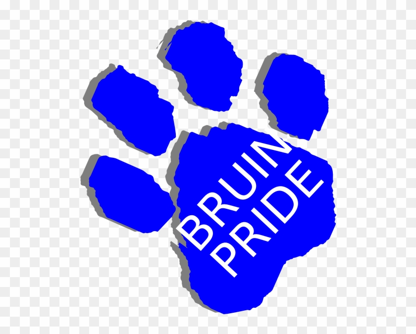 Bobcat Clipart Paw Print - Bruin Bear Clip Art - Png Download