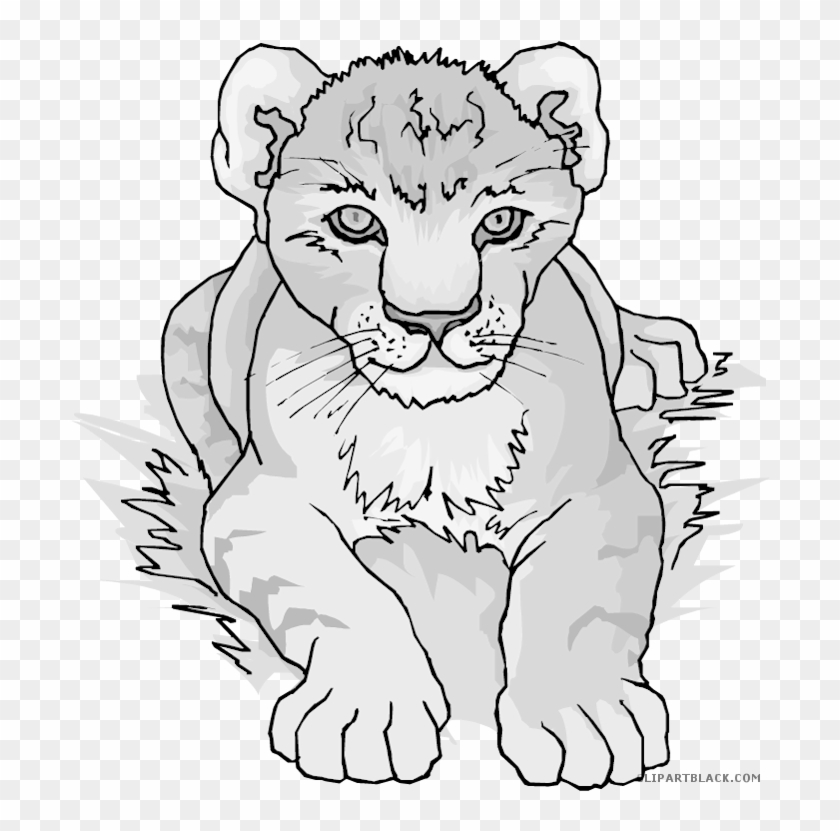 Clipartblack Com Animal Free Black White Images - Lion Cub Coloring Pages - Png Download #3518991