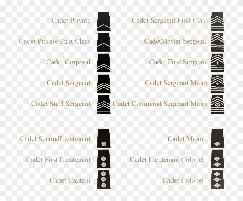 Awards And Ranks - Brochure Clipart