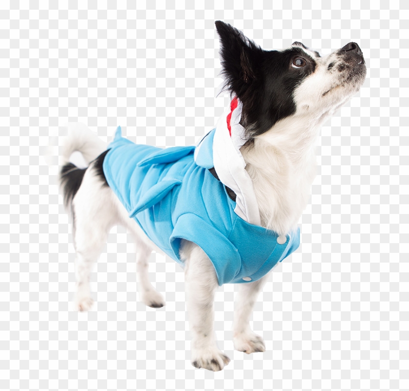 Furry Fin Shark Dog Costume Dog Costumes Clothes Pet - Companion Dog Clipart #3519551
