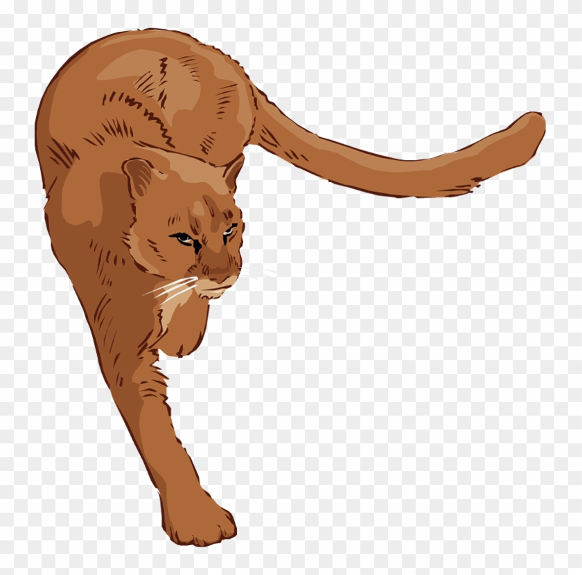Free Lion Clipart - Clipart Cougar - Png Download