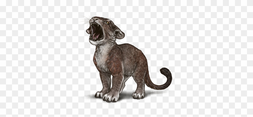 Lfunjuo - Indian Elephant Clipart