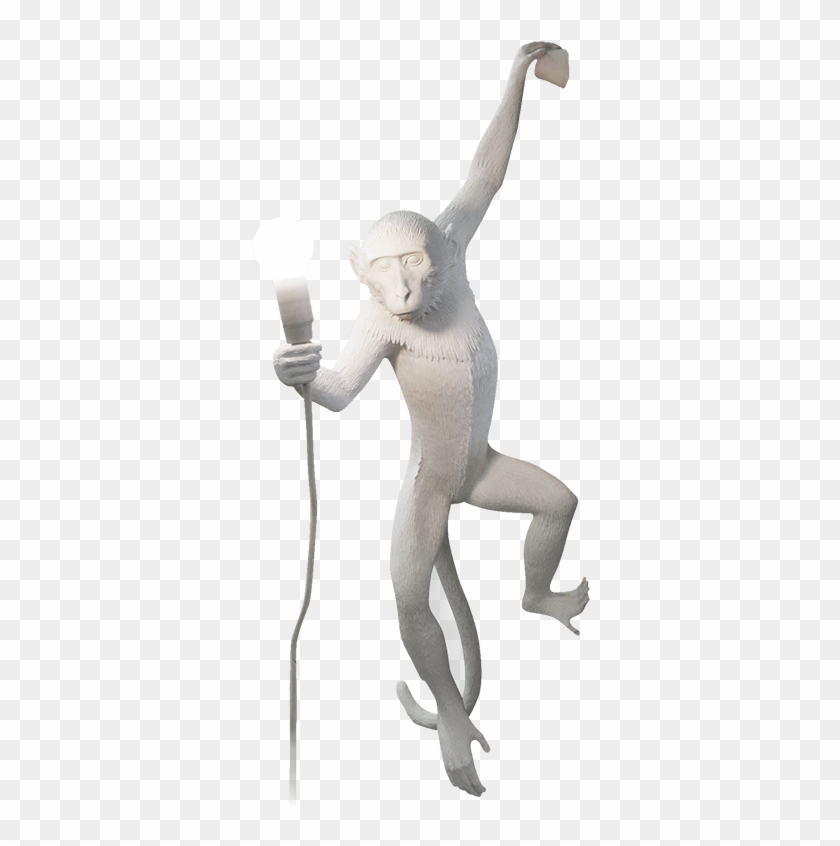 Seletti Monkey Lamp, Hanging-0 - Seletti Monkey Lamp Hanging Clipart #3520589