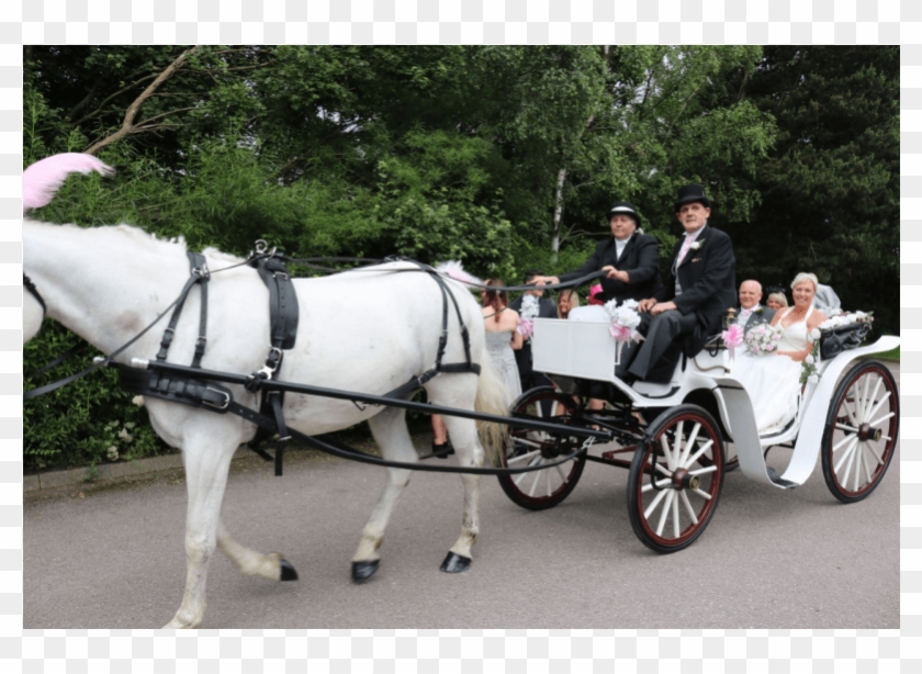 Horse And Buggy Clipart #3521026