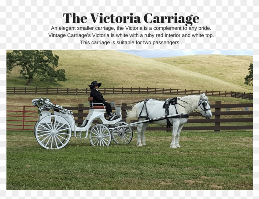 Dariadaria Clipart #3521169