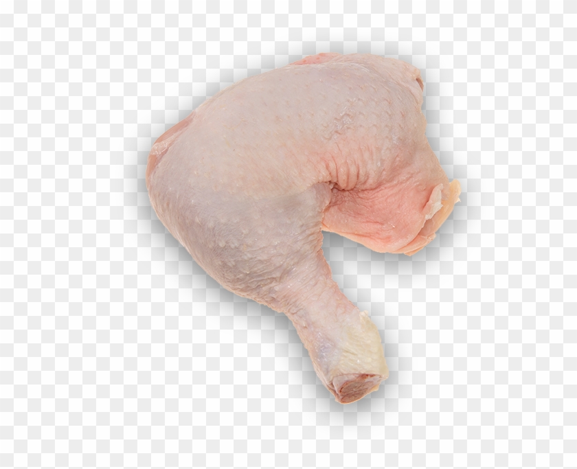 Whole Chicken Leg - Turkey Meat Clipart #3521419