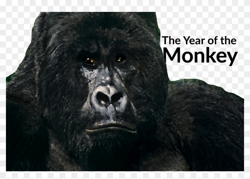 The Monkey's Influence On Anyone Doing Sales In - Iphone Sdk Clipart #3521422