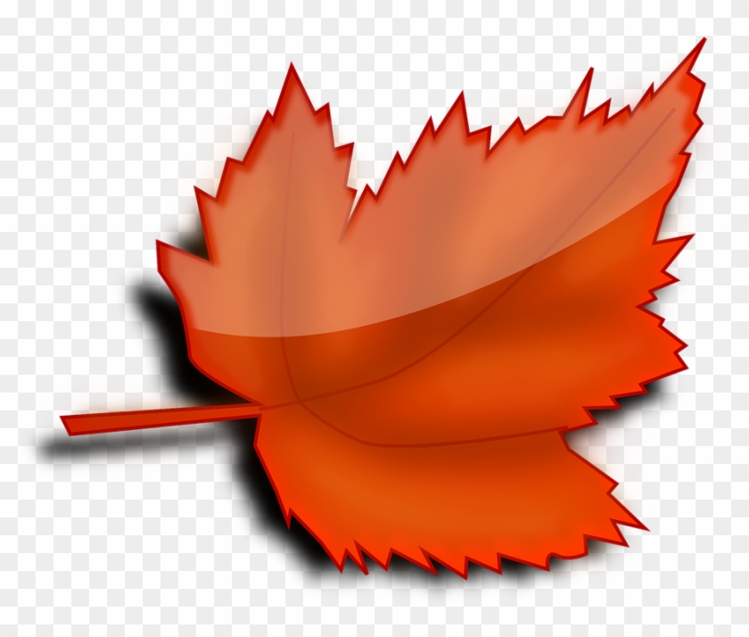 Maple Autumn Fall - Leaf Clipart Transparent Background - Png Download #3521547