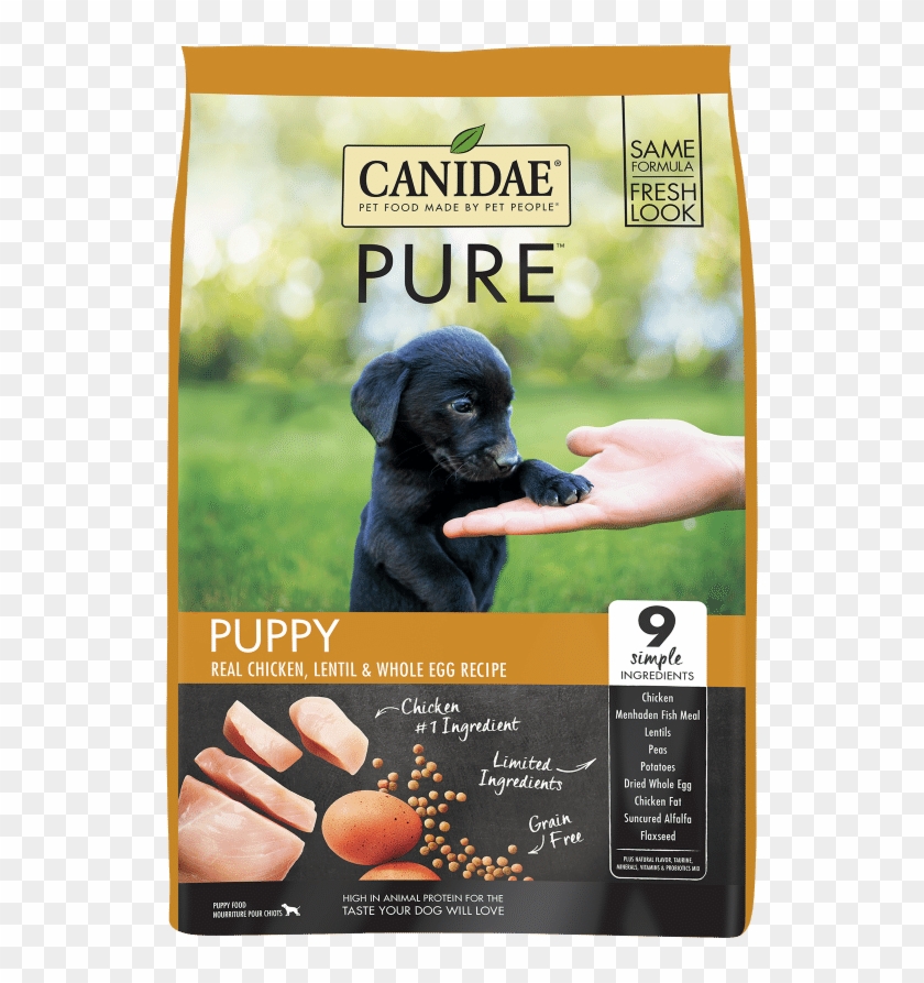 Canidae Grain Free Pure Chicken, Lentil Whole Egg Recipe - Canidae Puppy Food Clipart #3521575