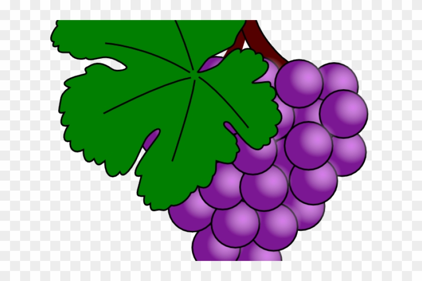 Daun Anggur Vector - Grapes Clip Art - Png Download