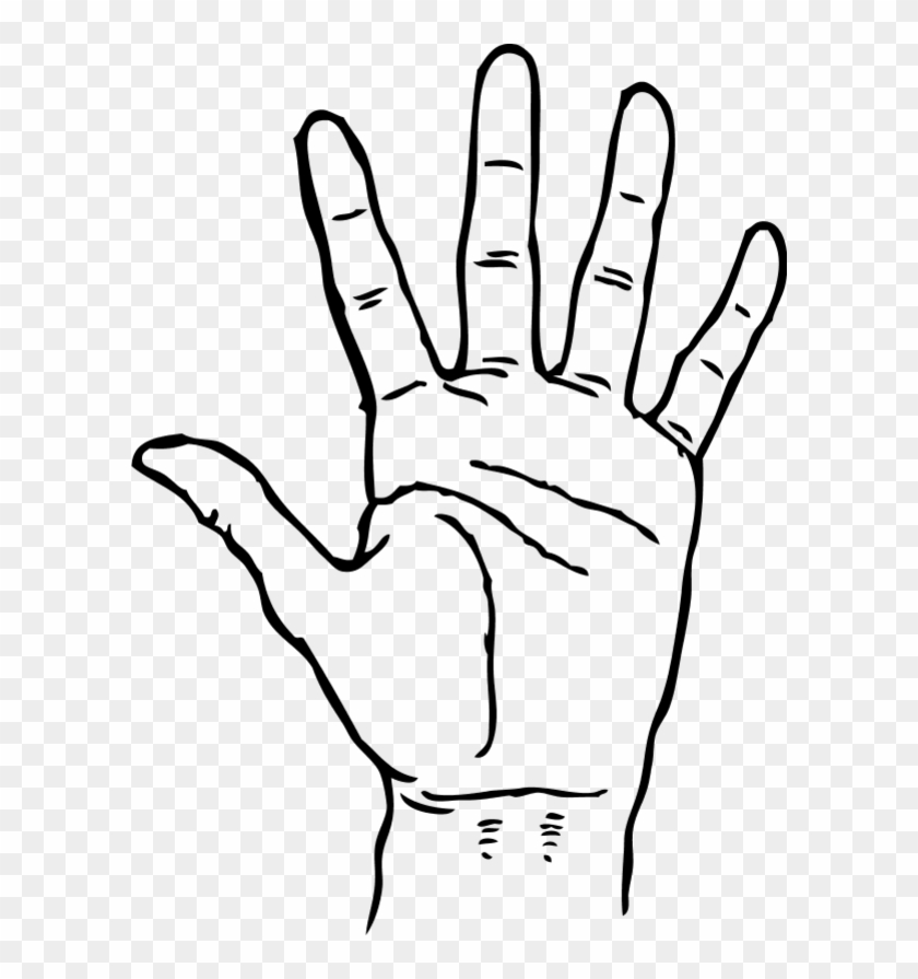 Hand Palm Facing Out - Hand Clipart Black And White - Png Download #3523010