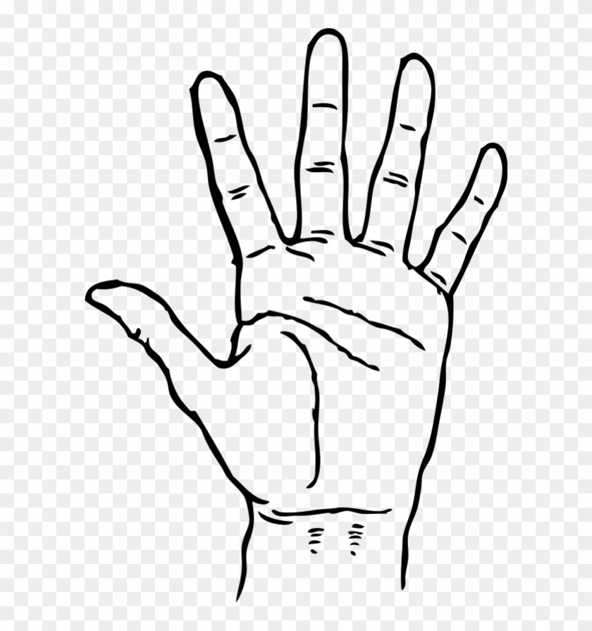 Hand Palm Facing Out - Hand Clipart Black And White - Png Download