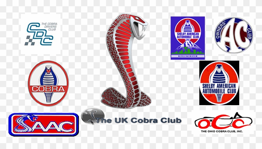 Untied States Cobra Clubs - Ac Cobra Clipart #3523278
