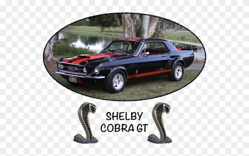 1967 Ford Mustang Elenor Gt 500 Shelby Cobra Tribute - Ford Mustang Shelby Gt 500 Clipart #3523903