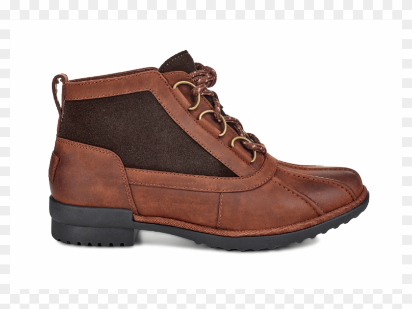 Hiking Shoe Clipart #3524490