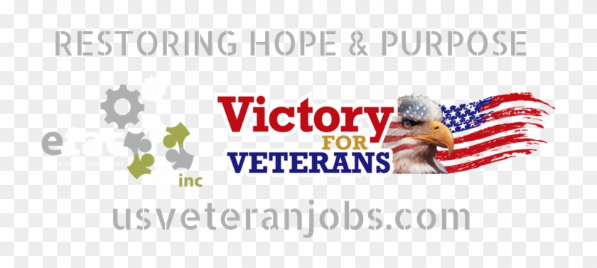 Bald Eagle Clipart #3525038