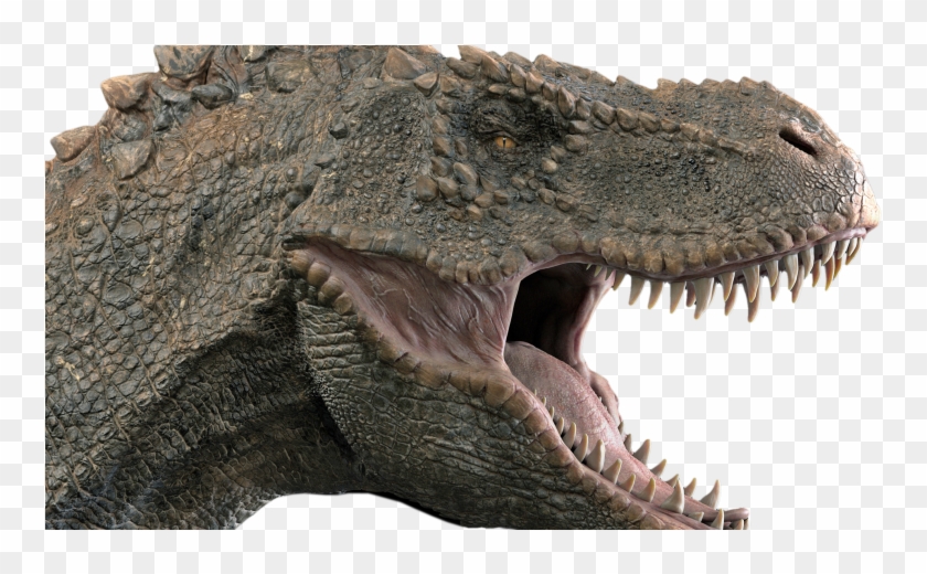 Theropods, Including Tyranosaurs Such As The Famous - Fearful Clipart