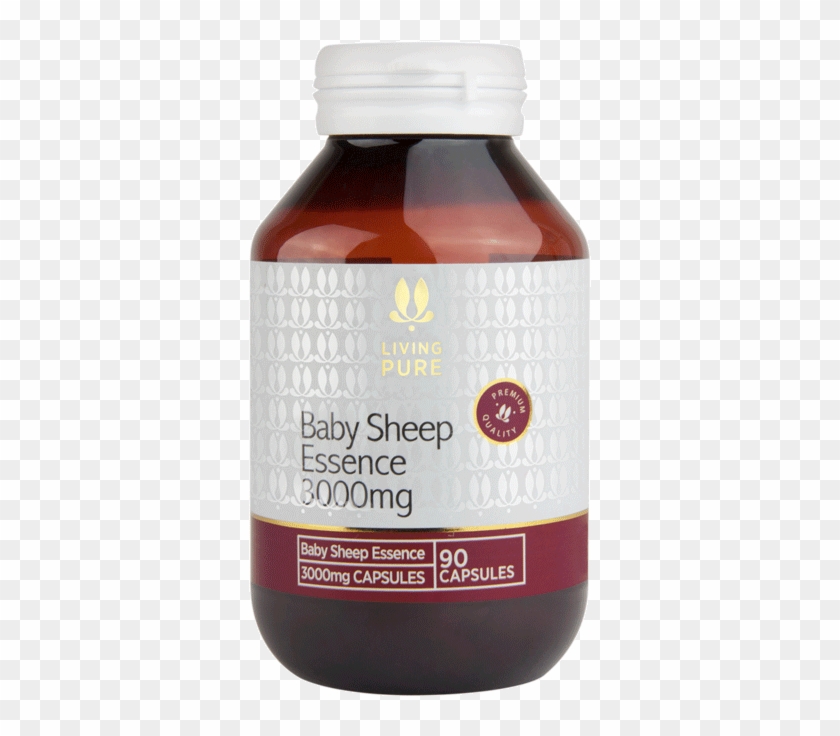 Baby Sheep Essence 3000mg Coming Soon - Cranberry Clipart #3527257