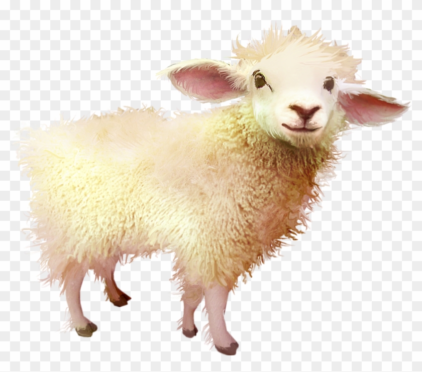 #sheep #baby #freetoedit - Sheep Clipart #3527515