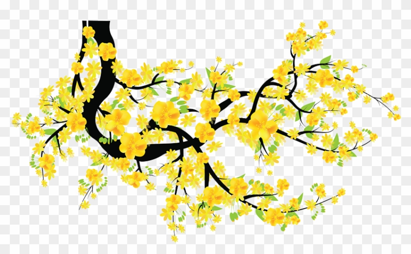 Mai Png - Hoa Mai Vàng Png Clipart