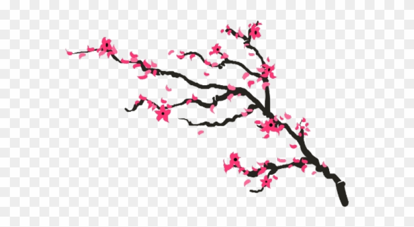 Cherry Blossom Drawing Png Clipart