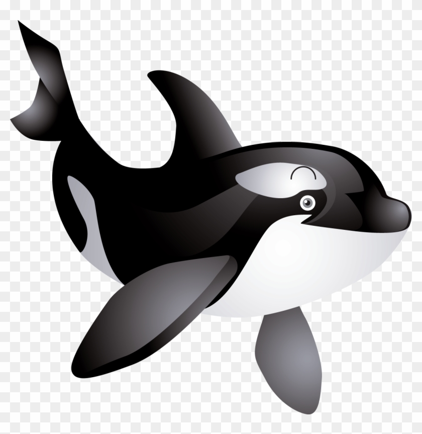 Фотки Ocean Creatures, Marina, Illustration, Whale - Free Killer Whale Clipart - Png Download #3528751