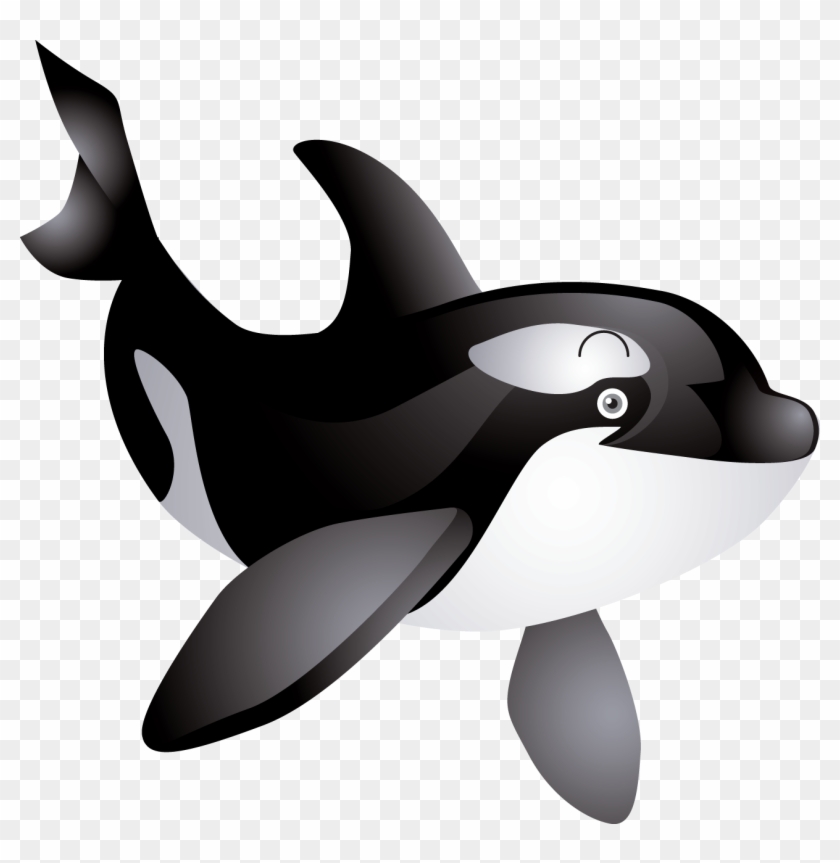 Фотки Ocean Creatures, Marina, Illustration, Whale - Free Killer Whale Clipart - Png Download