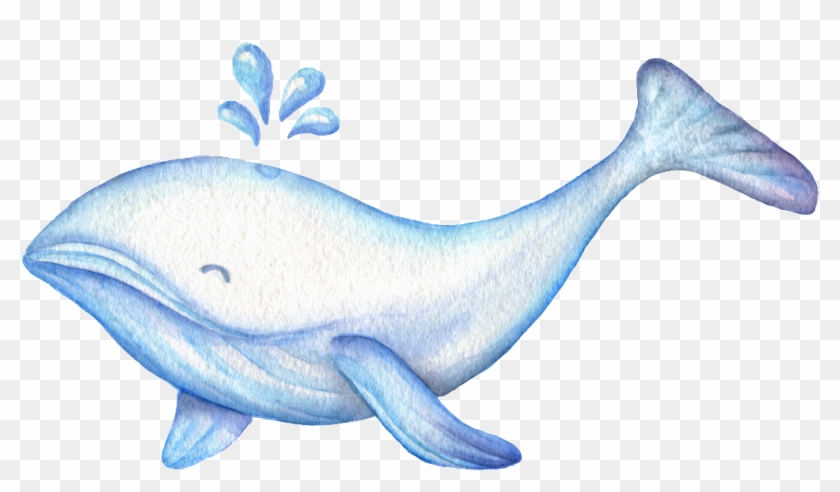 Drawn Whale Cute Thing - ภาพ การ์ตูน น่า รัก ๆ ปลาวาฬ Clipart