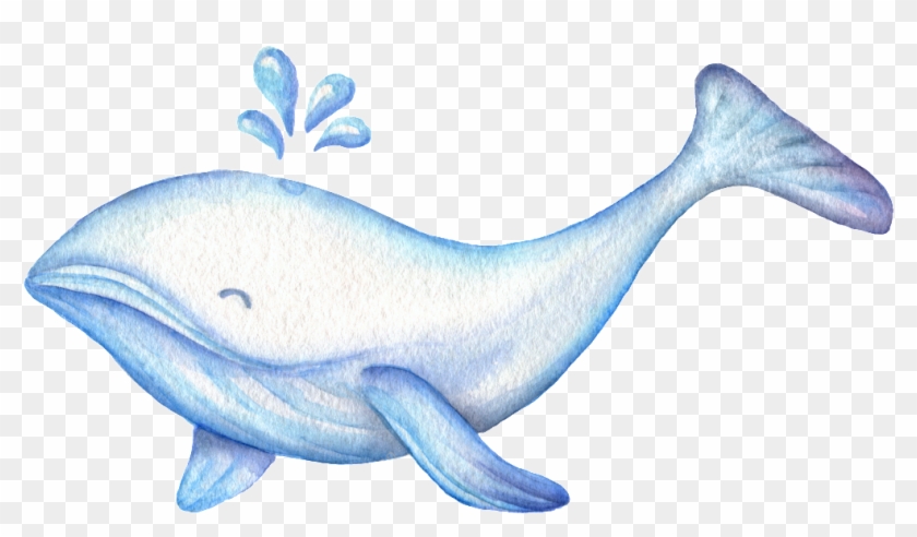 Drawn Whale Cute Thing - ภาพ การ์ตูน น่า รัก ๆ ปลาวาฬ Clipart #3529068