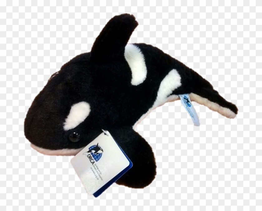 Cute Cuddly Killer Whales For Just £15 This Offer Is - Stuffed Toy Clipart #3529168