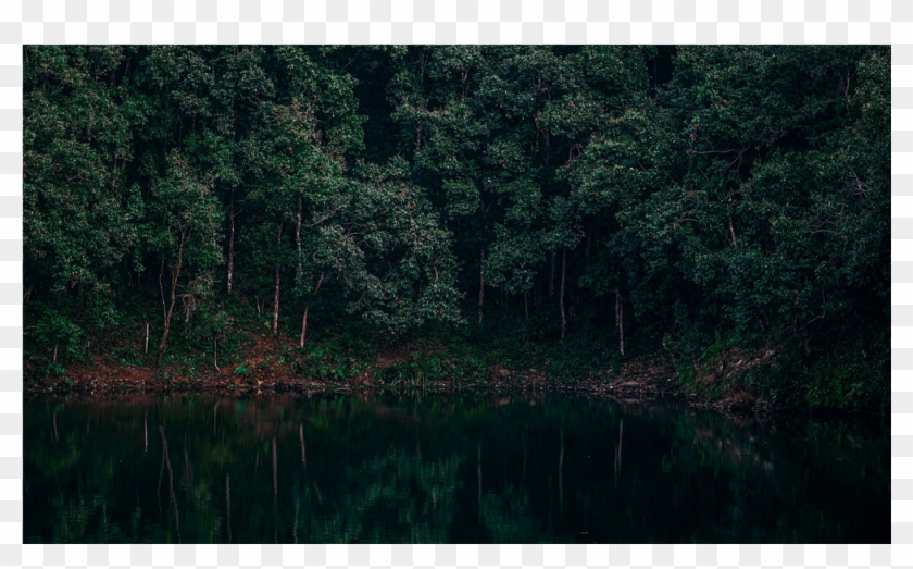 Score 50% - Loch Clipart #3529787