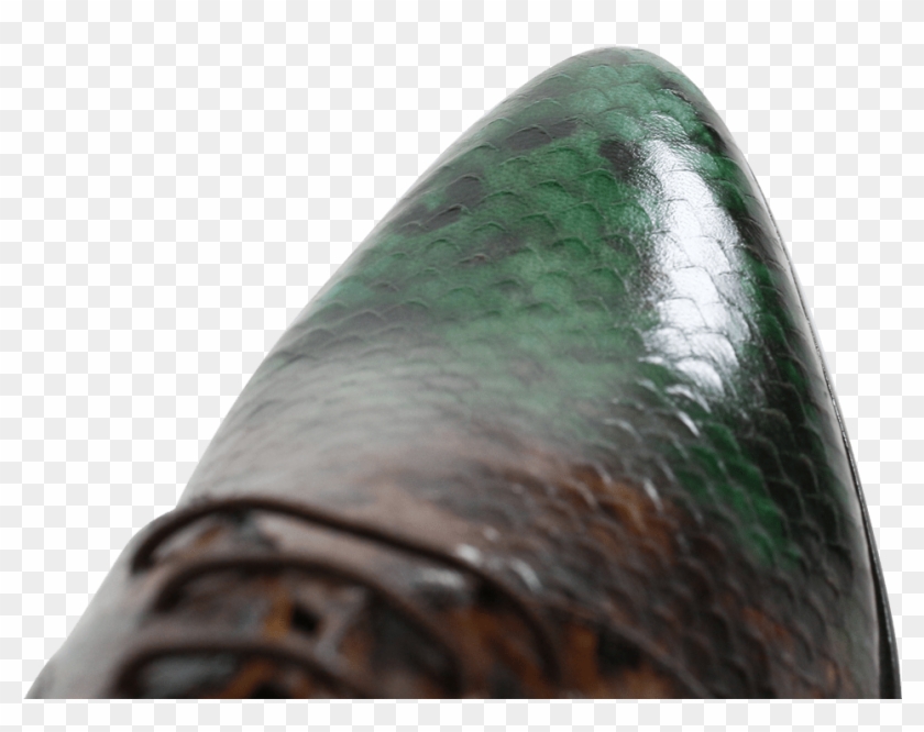 Derby Shoes Toni 1 F Snake Dark Forest Dark Brown Dark - Close-up Clipart