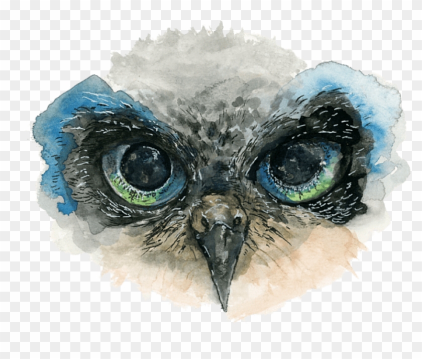 Owl Painting Clipart