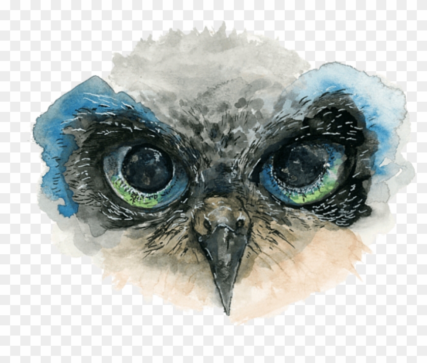 Owl Painting Clipart