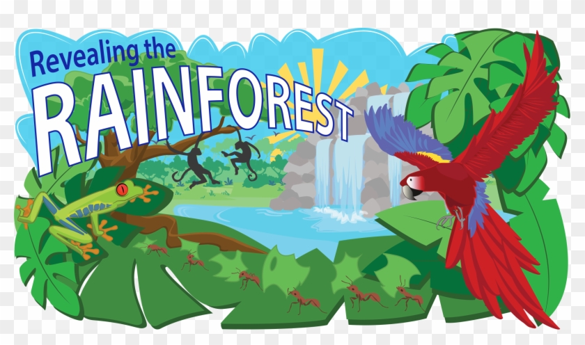 Tropical Rainforest Biome Clipart #3530548