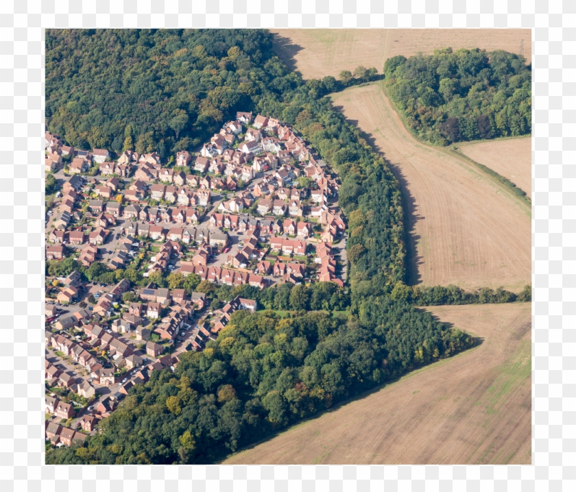 Suburban Sprawl Trees Clipart