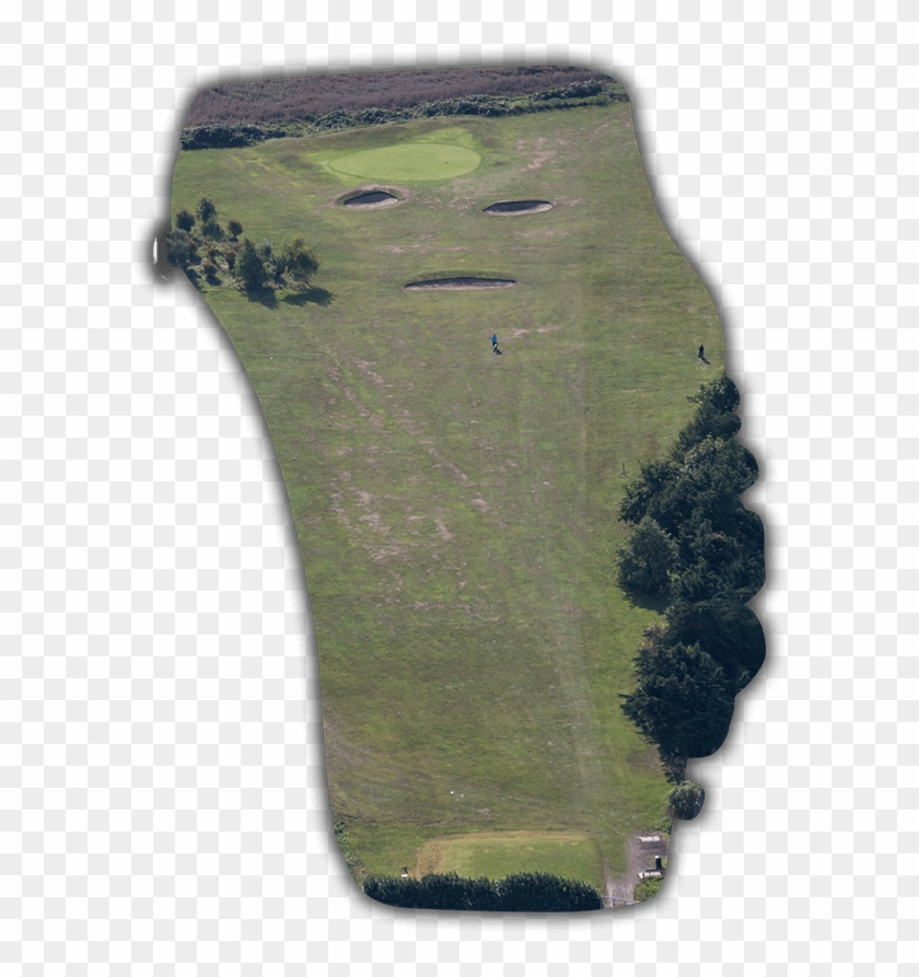 Grass Clipart #3531658