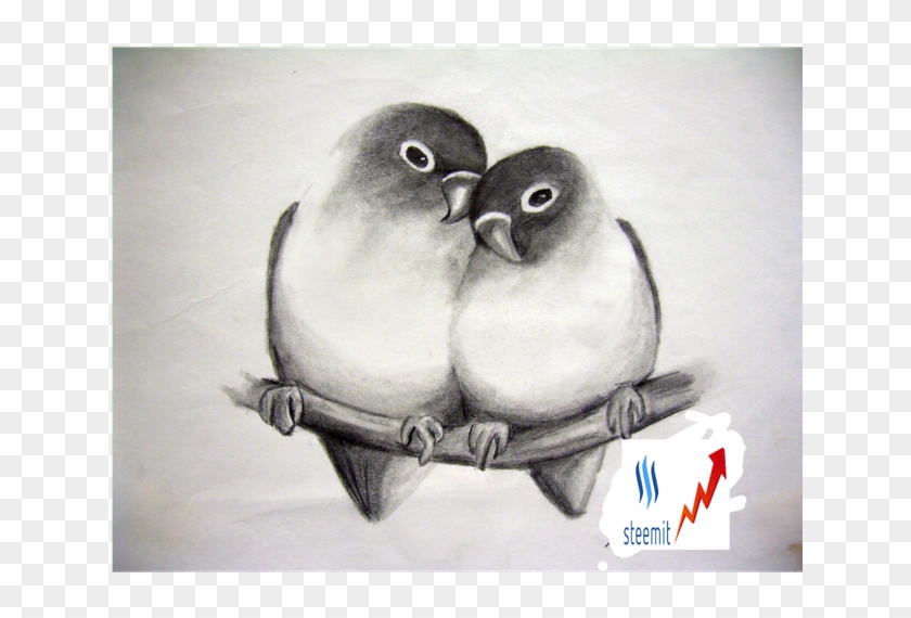 Beautiful Birds Love Birds Sketch - Sketches Of Love Birds Clipart #3532065