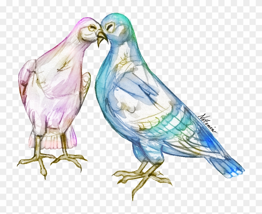 Love Birds - Parakeet Clipart #3532488