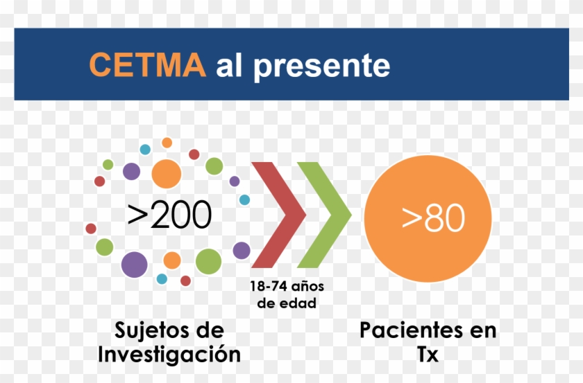 Participantes - Circle Clipart