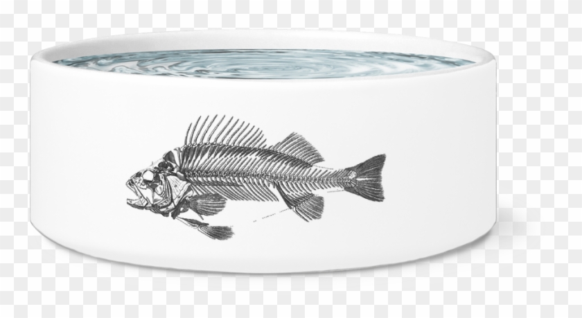 Fish Skeleton Art Clipart #3534381