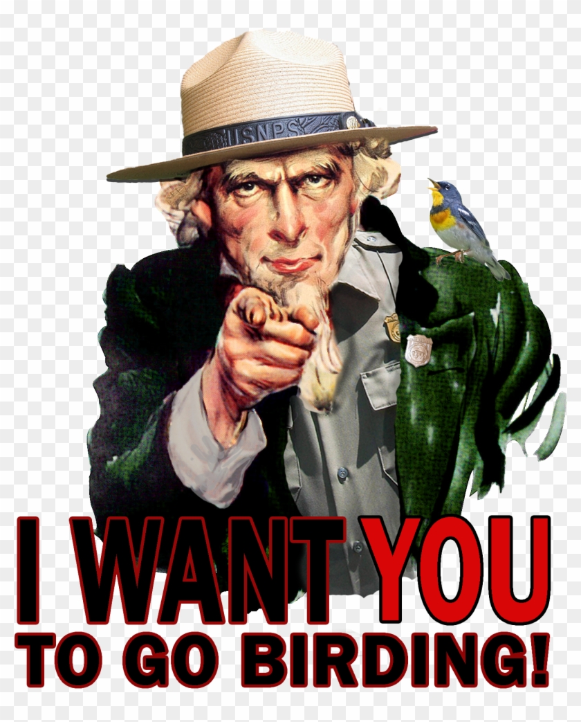 Breeding Landbird Volunteer Opportunities - Uncle Sam Clipart #3534879