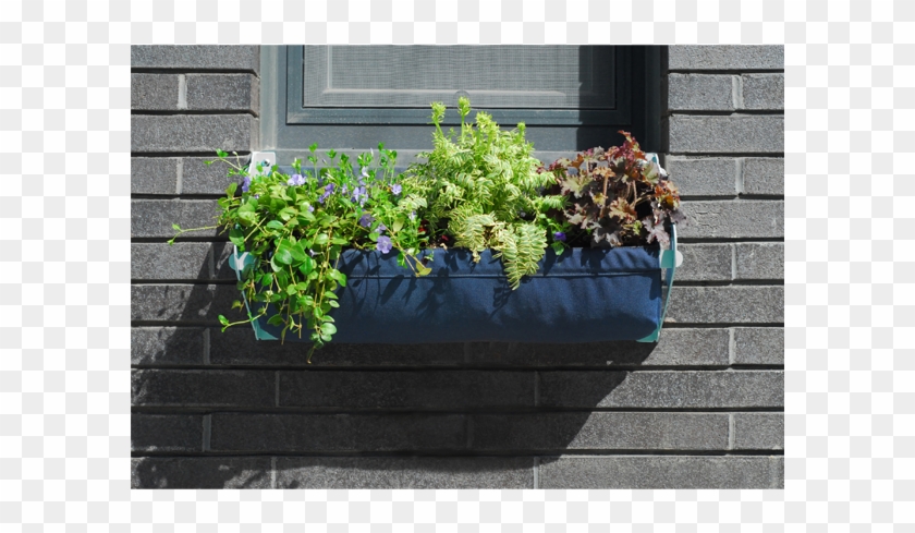 Window Box Png - Flowerpot Clipart #3535784