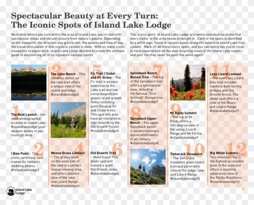 Spectacular Beauty At Every Turn The Iconic Spots Of - Untitled, Tailpiece, Pg. 135, In The Book Dingo By Clipart #3536038