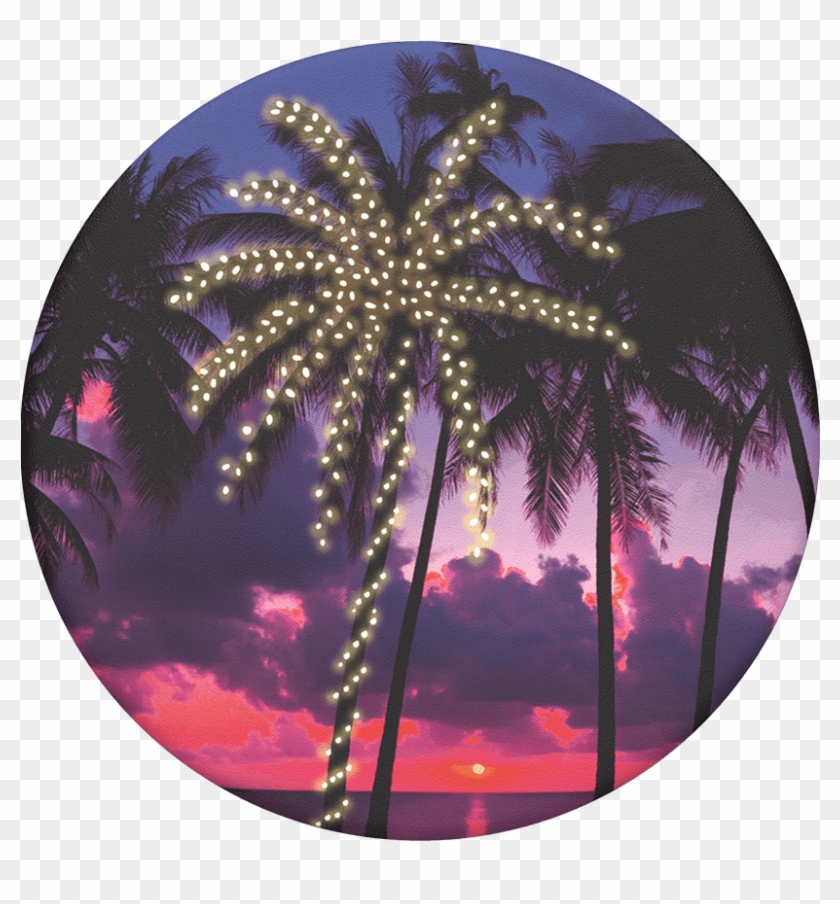 Miami Holiday, Popsockets - Attalea Speciosa Clipart