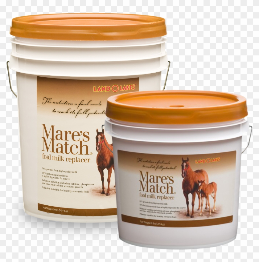 Sorrel Clipart #3536224