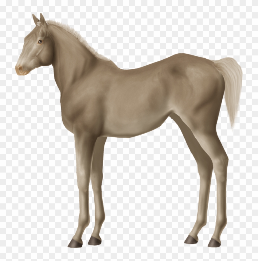 If Not Silver-something, What Do You Think Hyo Tetsu - Horse Clipart #3536477