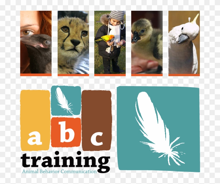 Ugg Austrailia - Cat Clipart