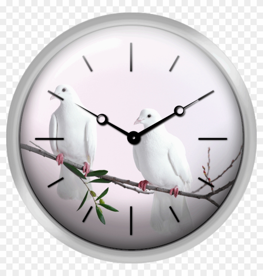 Two White Doves With Olive Branch - Doves As Symbols Clipart #3537024