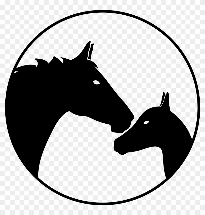 Foal Clipart Female Horse - Mare - Png Download